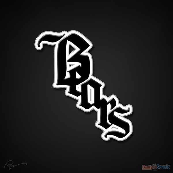 Chicago Bears X Chicago White Sox