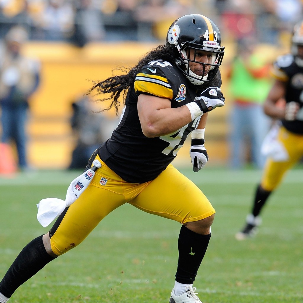 Steelers Troy Polamalu - Joe Sargent